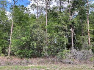 8479 N Wallingford Ave, Citrus Springs, FL 34434