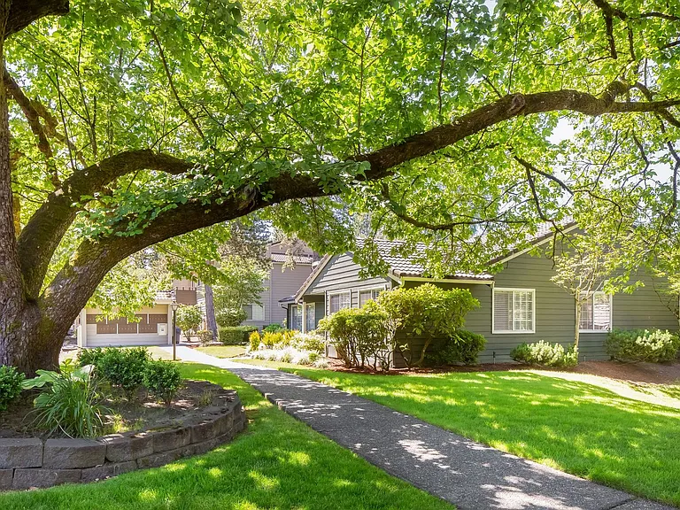 Silver Oak — Photo 12