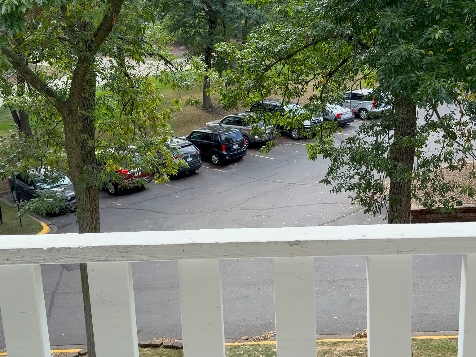 1 bed, 650 sqft, $1,250 — Photo 3