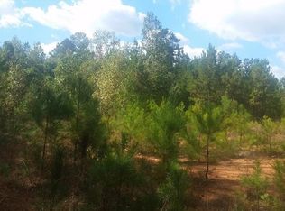 534 Mount Moriah Rd, Auburn, GA 30011