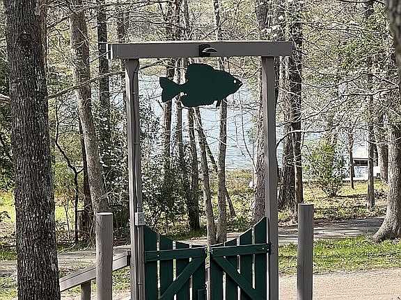 View of lake from front yard