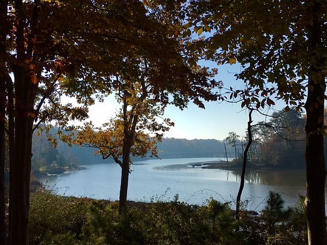 View from back yard area