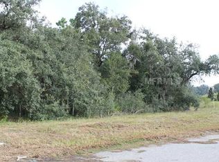 15715 Serengeti Blvd, Spring Hill, FL 34610