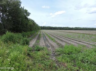 0 County Road 108, Bunnell, FL 32110