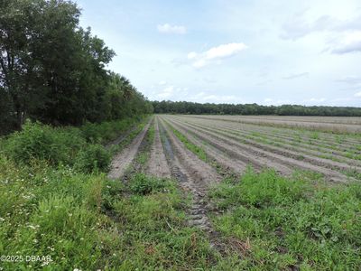 0 County Road 108, Bunnell, FL, 32110
