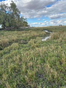 NW 1/4 Sw 26 #1/4-18-4, Plainview, NE, 68769