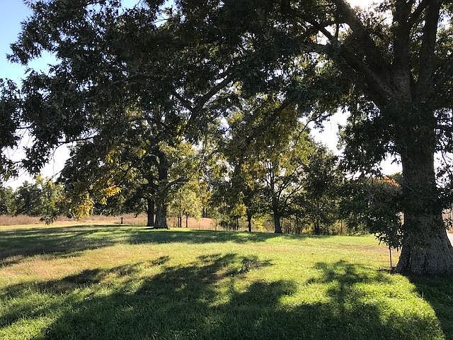 2nd image of 300 Meadows Rd