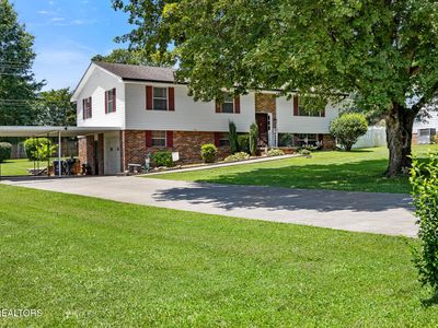 115 County Road 142, Riceville, TN, 37370