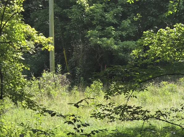 0 Difficult Rd, Pleasant Shade, TN 37145