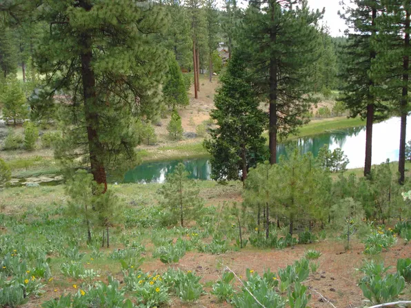 272 Blacktail Rdg, Portola, CA 96122