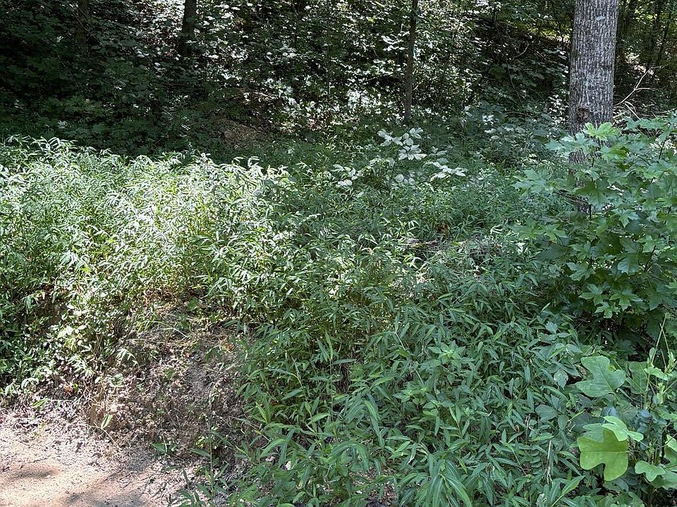 2nd image of Swan Pond Rd