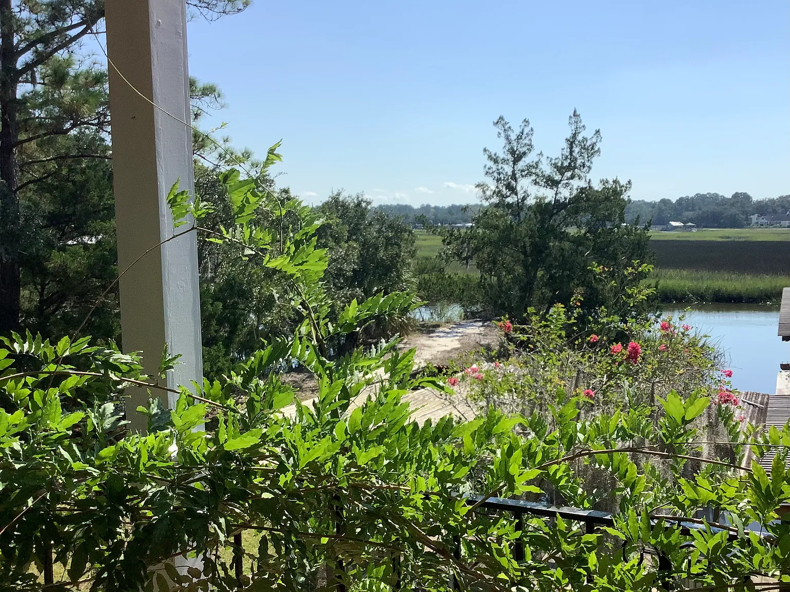Norwood Ave, Savannah — Photo 4