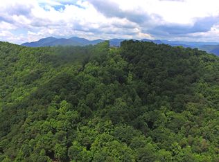 88 Mountain Holly Dr, Leicester, NC 28748