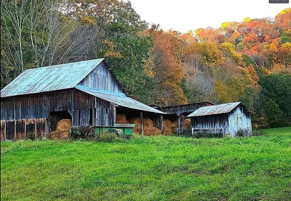 10692 Leonard Cordova Rd, Renick, WV 24966 Zillow