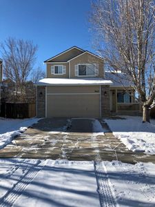 3622 Morning Glory Dr, Castle Rock, CO, 80109