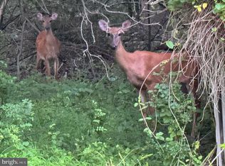 3515 Clayton B Rd, Joppa, MD 21085