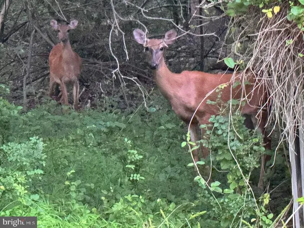 3515 Clayton B Rd, Joppa, MD 21085