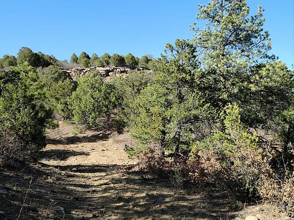 3rd image of 21800 County Road 40.2