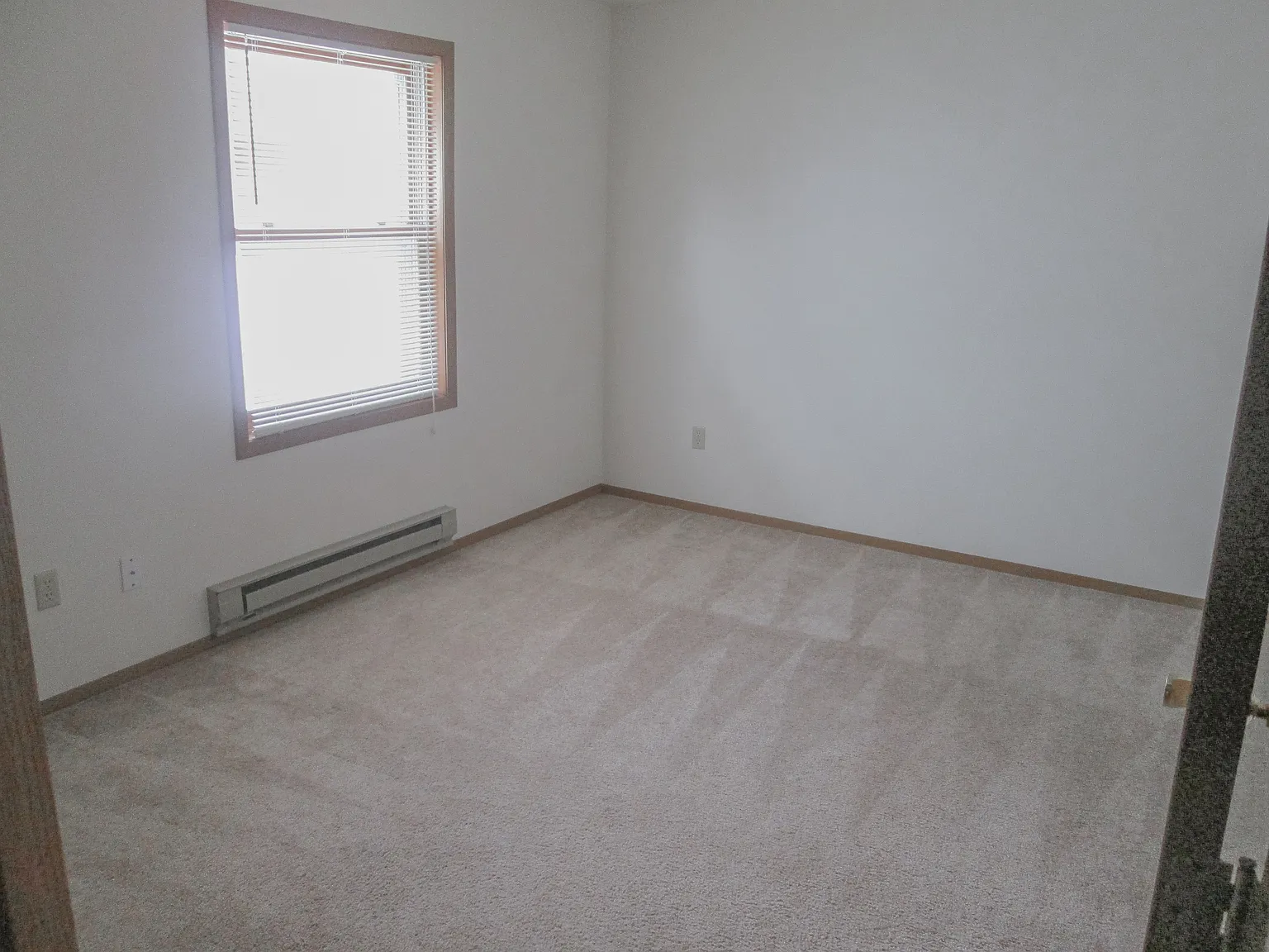 308 Pinecrest Drive - 1 — Photo 4