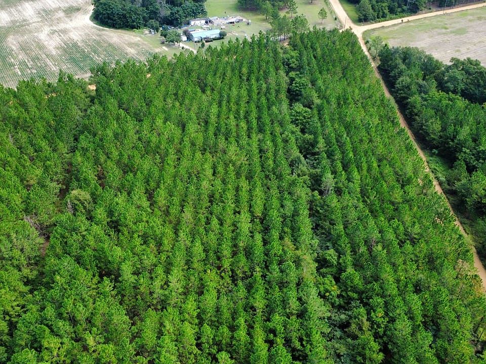 Dji Fly 20260830 114116 428 1788104634652 Photo Optimized