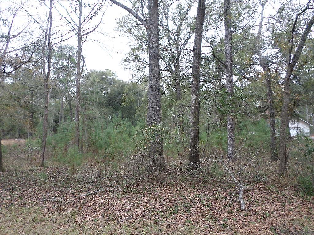 LOT 8 River Oaks Dr, Bainbridge, GA 39817 Zillow