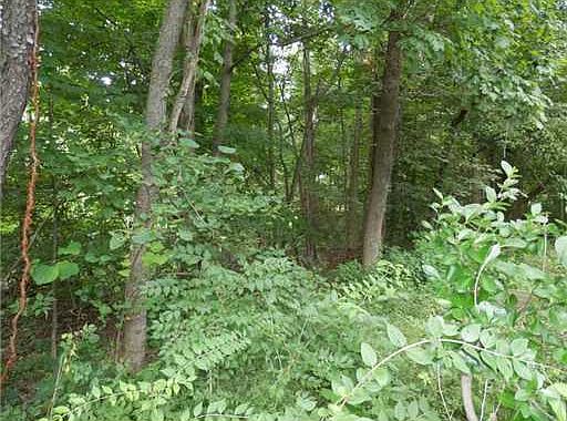 4th image of 100 Woodhaven Dr
