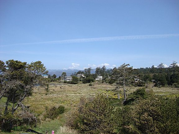 Wetlands for a back yard...