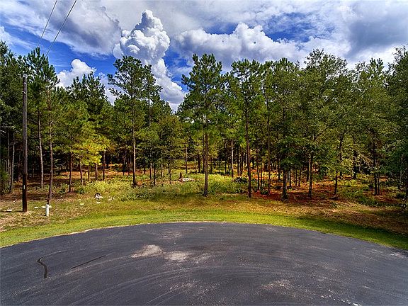 5th image of 30100 Roan Ln