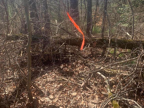 3rd image of Jr Gray Rd