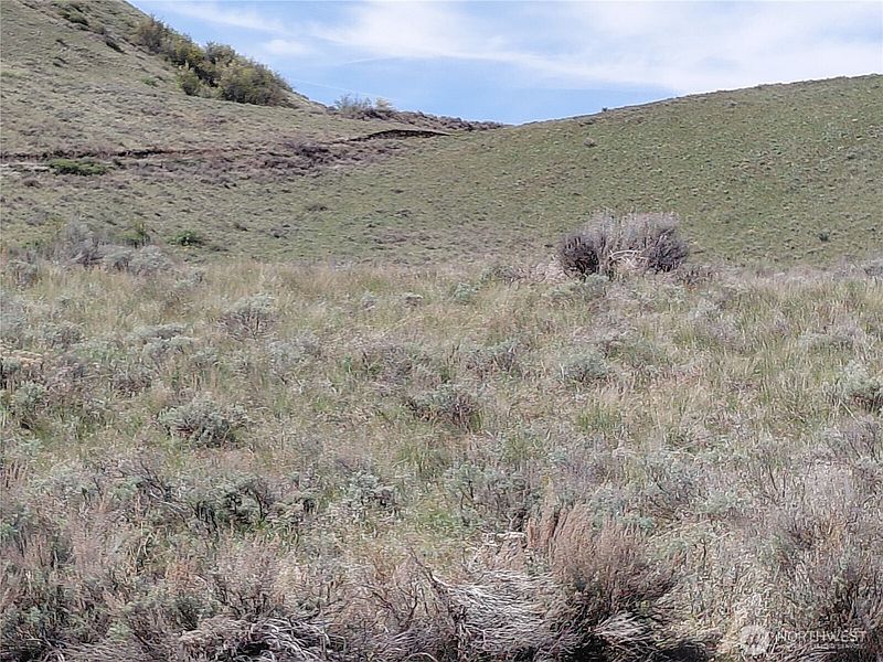 5th image of 272 Mountain Spring Road
