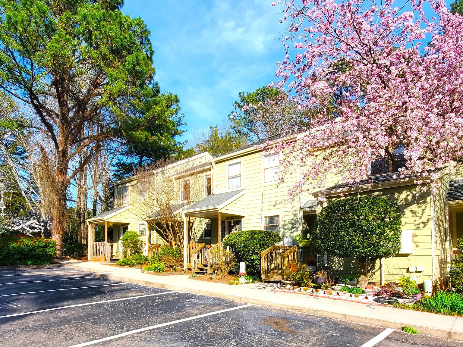 2 bed, 1.5 bath, 995 sqft, $1,390 — Photo 2