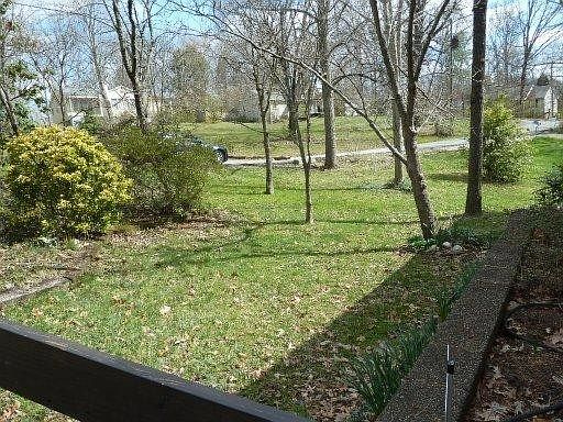 2nd image of 308 Liveoak Dr