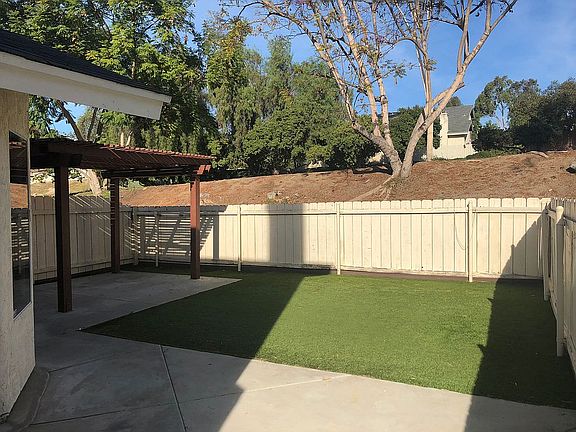 Backyard Synthetic Lawn