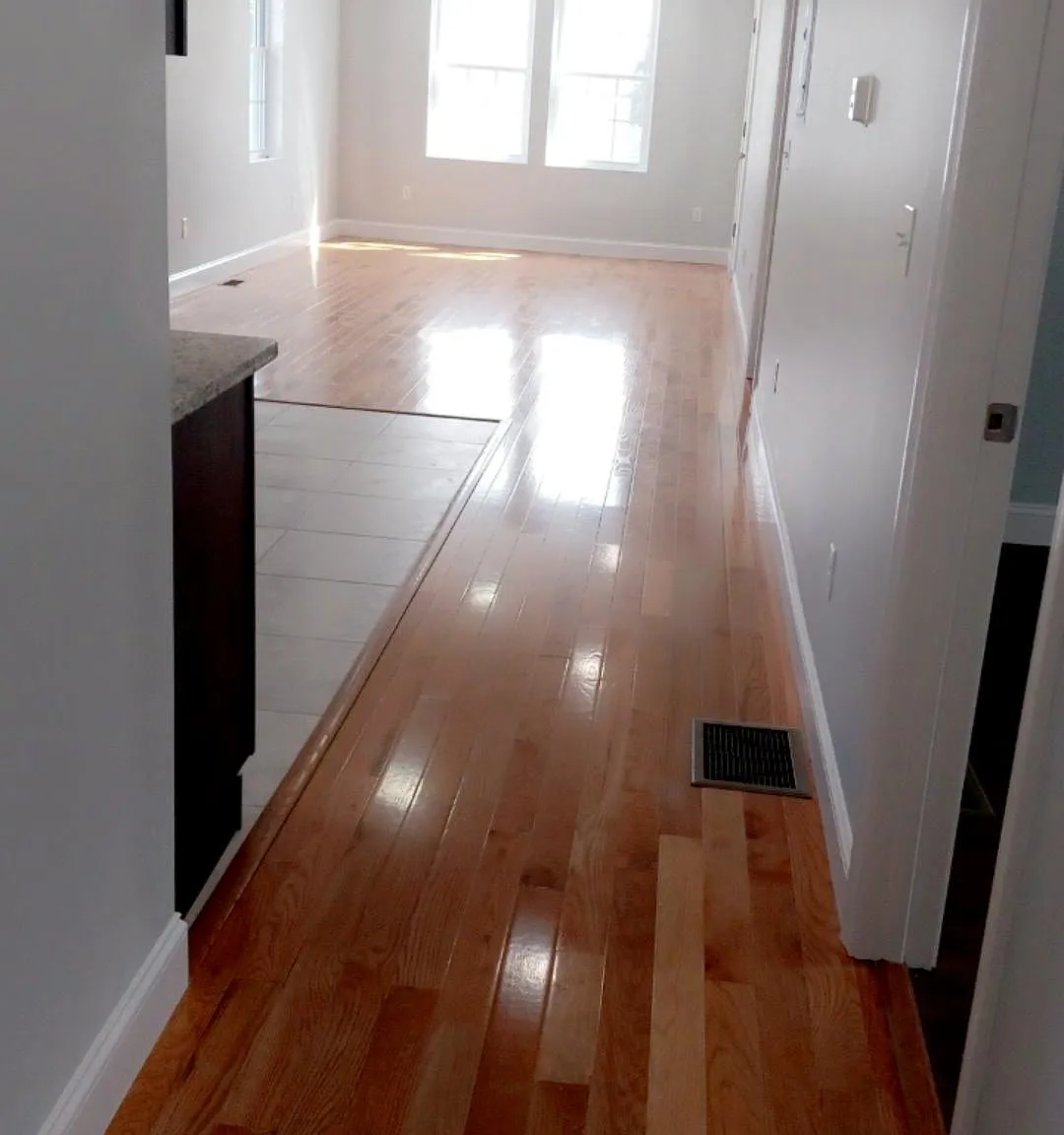 31 Benedict St — Photo 3