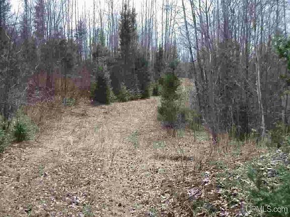 4th image of N Swan Rd