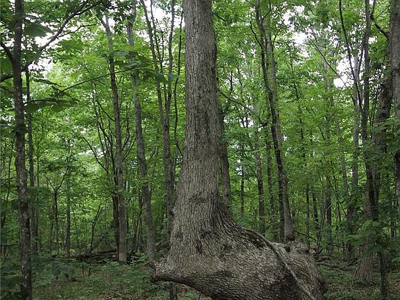 4th image of 3751 County Road 1313