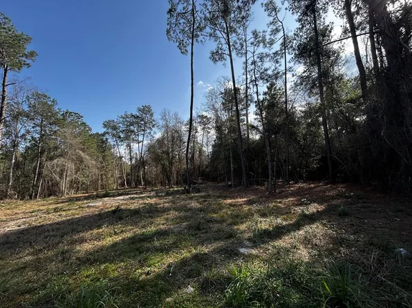 0 Lakeside Dr, Carriere, MS 39426