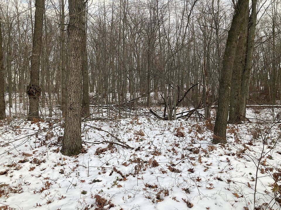 1st image of Lots 2 5 McBride St