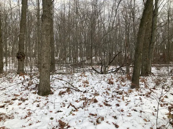 Lots 2 5 McBride St, Caseville, MI 48725