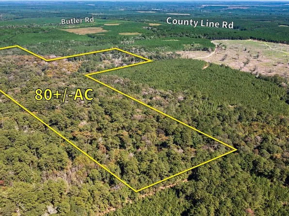 Butler Rd, Livingston, TX 77351