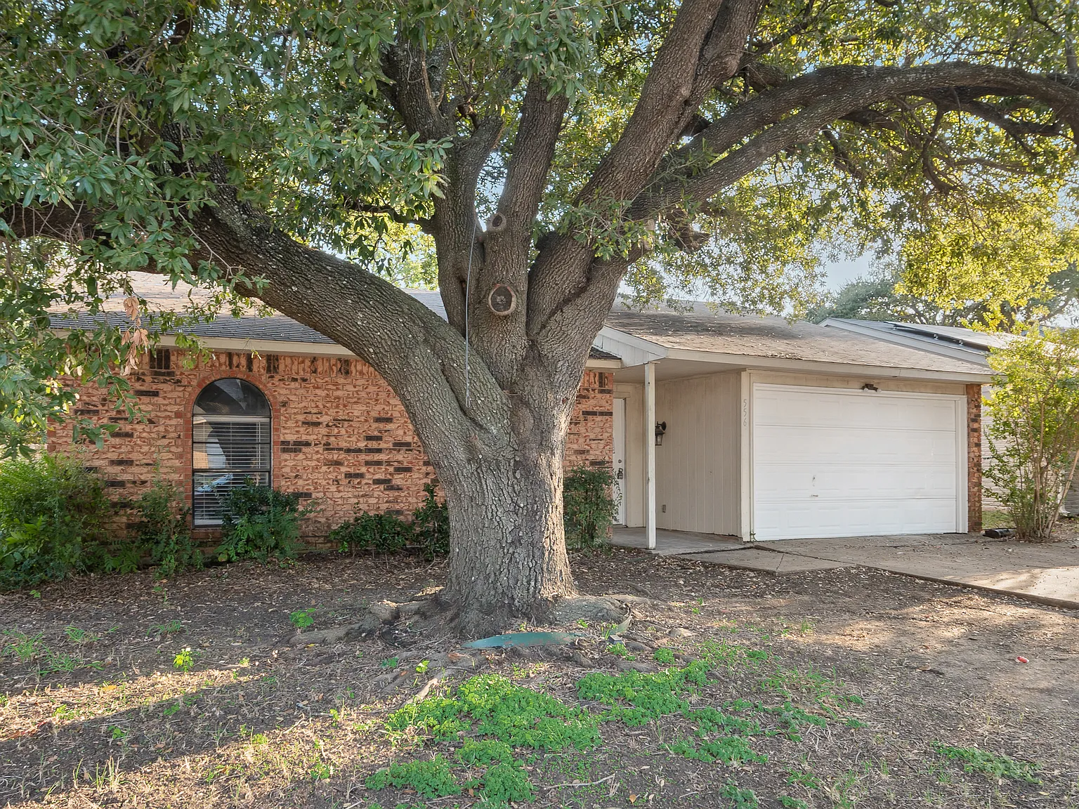 3 bed, 2.0 bath, 1304 sqft, $1,499 — Photo 4