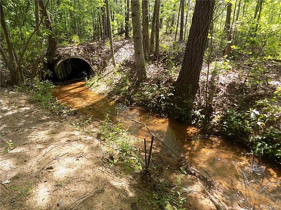 3rd image of County Road 61