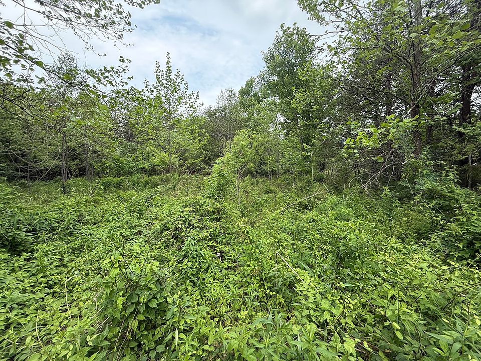 2nd image of 0 John Mason Rd Lot 6 & 7