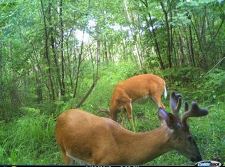 Kettlewell Ln, Sandstone, MN 55072