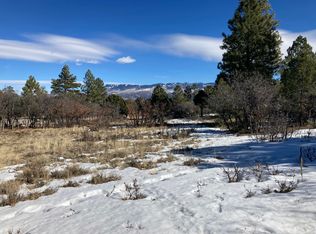 1254 Marmot Dr LOT 219, Ridgway, CO 81432