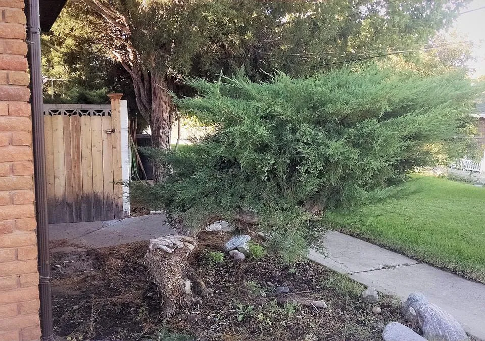 #3 Private Entrance in Back