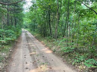 V/l Dexter Rd, Wellston, MI 49689