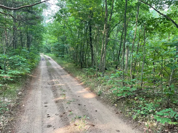 V/l Dexter Rd, Wellston, MI 49689