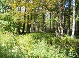 Bonnie Brook Rd, Roscoe, NY 12776