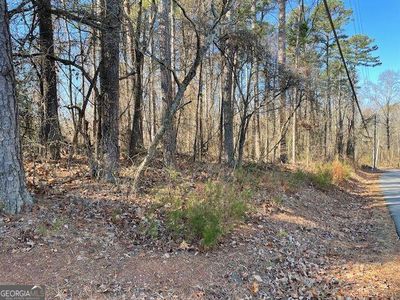 49 Young Deer Dr, Cumming, GA, 30041